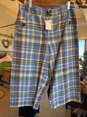 Free People Blue Multi Plaid Flat Front Men’s Shorts
